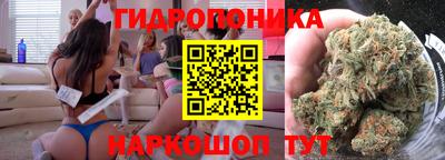 индика Комсомольск-на-Амуре